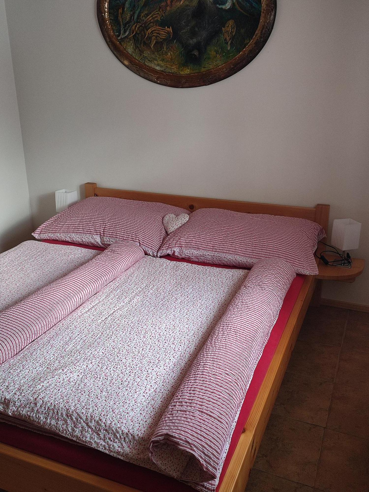Apartmany Pod Vysakem Stárkov Room photo